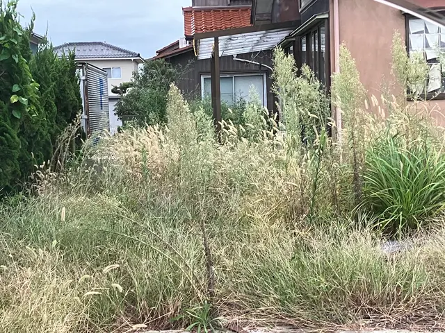 草刈りサービスサービスの画像