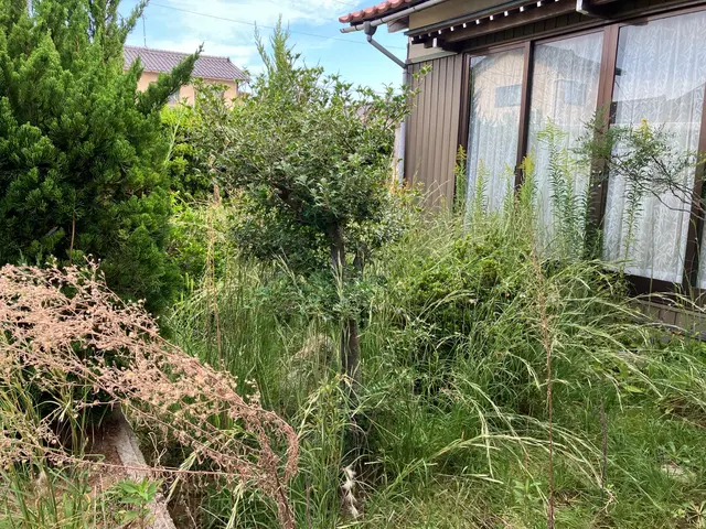 草刈りサービスサービスの画像