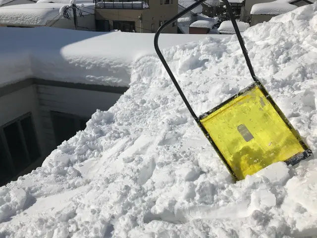 雪かき、屋根雪おろしサービスの画像