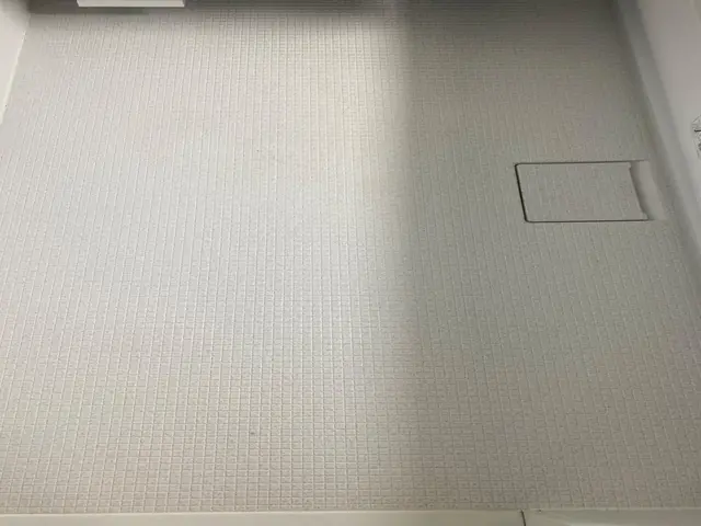 1日1組限定！極上の浴室クリーニングサービスの画像