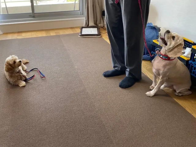 【都内23区限定】業界大手企業4年間勤めた経験を活かし高いサービスとサイト最安値サービスの画像