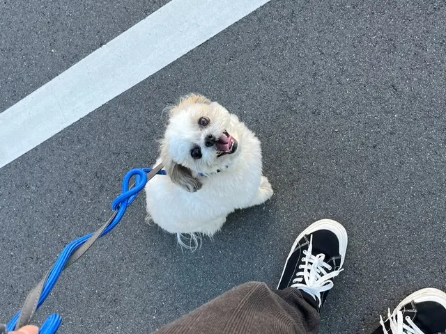 【都内23区限定】業界大手企業4年間勤めた経験を活かし高いサービスとサイト最安値サービスの画像