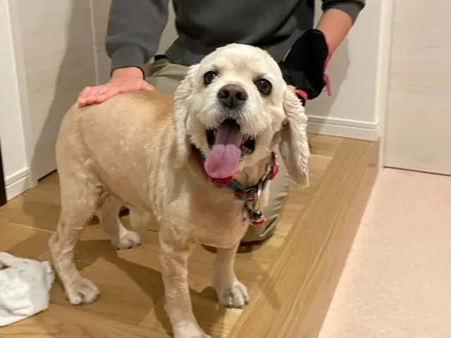 【都内23区限定】業界大手企業4年間勤めた経験を活かし高いサービスとサイト最安値サービスの画像