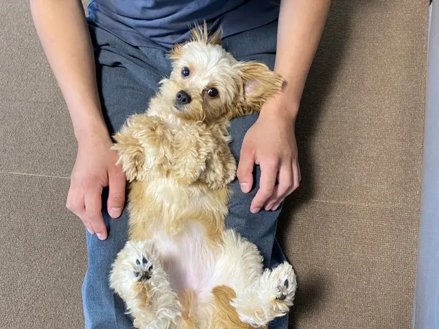 【都内23区限定】業界大手企業4年間勤めた経験を活かし高いサービスとサイト最安値サービスの画像