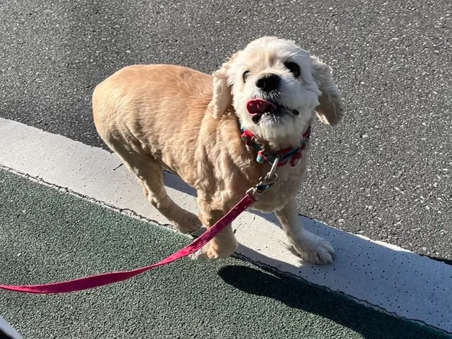 【都内23区限定】業界大手企業4年間勤めた経験を活かし高いサービスとサイト最安値サービスの画像