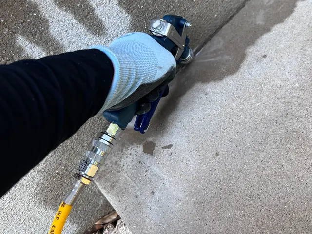 ☆追加料金いっさい無し☆効果長持ち☆安全な薬剤☆屋外の様々な虫の予防にも☆サービスの画像