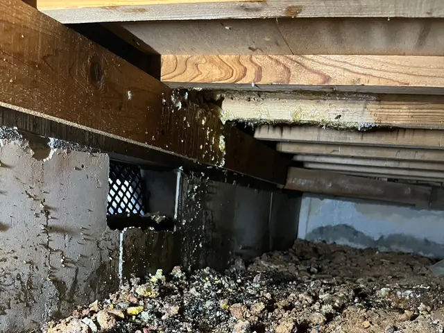 外注一切無★損害保険加入済★駐車場代店負担サービスの画像