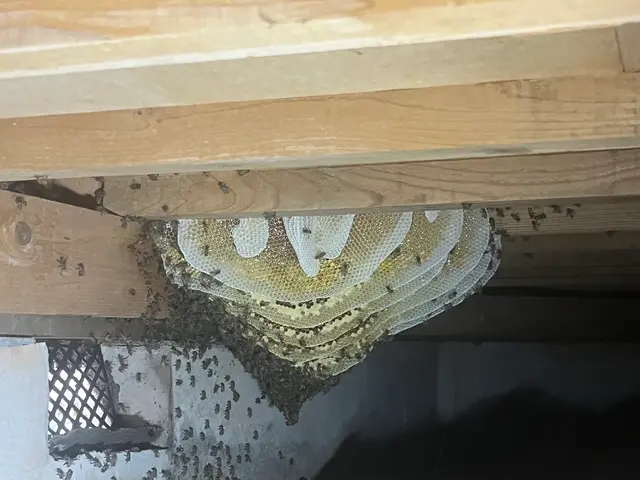 外注一切無★損害保険加入済★駐車場代店負担サービスの画像