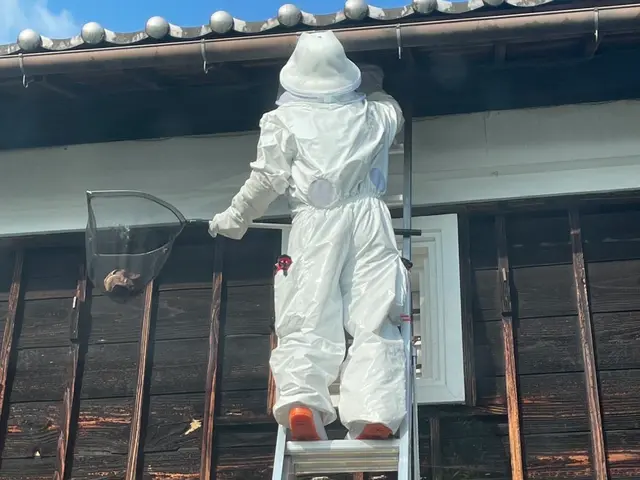 外注一切無★損害保険加入済★駐車場代店負担サービスの画像