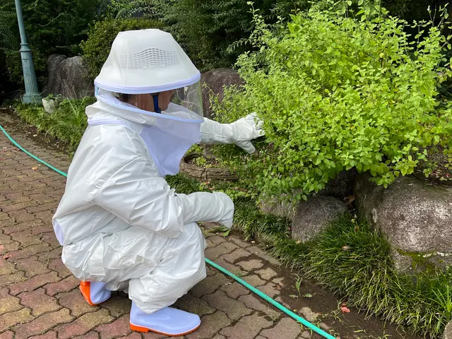 外注一切無★損害保険加入済★駐車場代店負担サービスの画像
