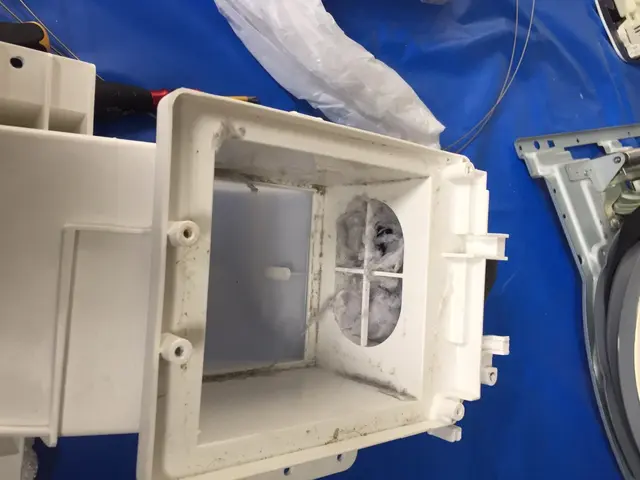 ☆カビをごっそり取ってピカピカにしましょう！☆糸くずで詰まった乾燥ダクトも！サービスの画像