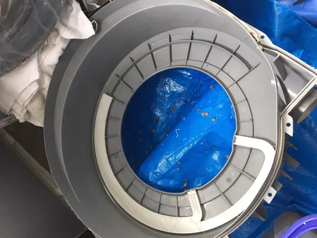 ☆カビをごっそり取ってピカピカにしましょう！☆糸くずで詰まった乾燥ダクトも！サービスの画像