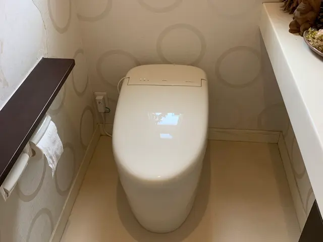 【処分込み】一般トイレ、タンクレスタイプの交換ならお任せ下さい！お問合せ下さいサービスの画像