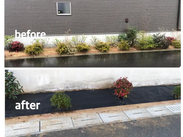 【速い作業・適正な価格・綺麗な仕上り】◉草取りの心配から解放されませか◉サービスの画像