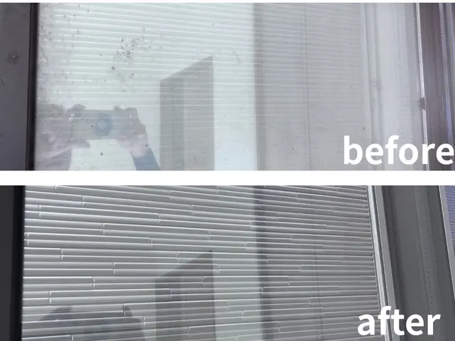 【経験27年の実績】ペット赤ちゃん◎思わず笑顔になりますサービスの画像