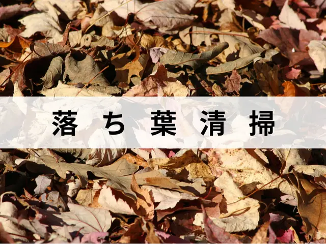 落ち葉のお悩み解決！落ち葉清掃はお任せ下さい！エリア外も対応可能な場合有り！サービスの画像