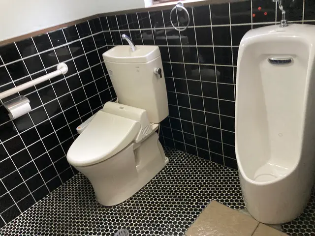 プロの技でトイレきれい、心地よい空間をgetトイレの神様にも愛されるチャンスupサービスの画像