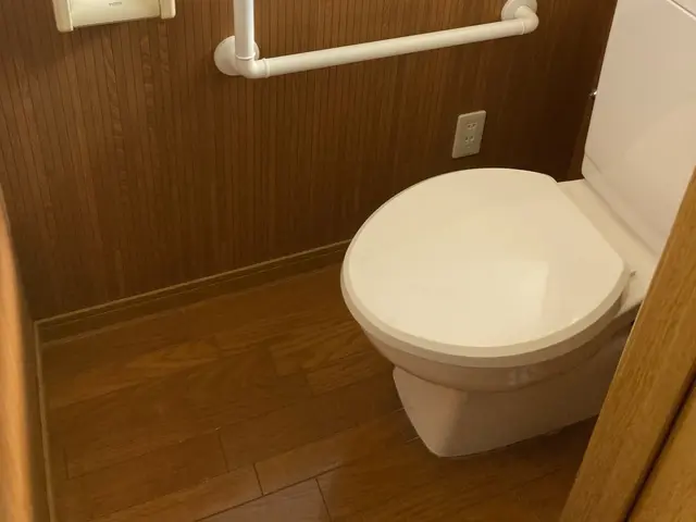 プロの技でトイレきれい、心地よい空間をgetトイレの神様にも愛されるチャンスupサービスの画像