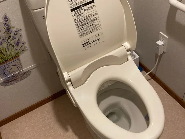 プロの技でトイレきれい、心地よい空間をgetトイレの神様にも愛されるチャンスupサービスの画像