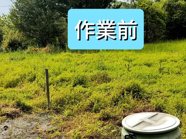 ★ご予約前に写真で簡単お見積もり★立ち合いなしOK♪★お庭スッキリ♪２名作業サービスの画像