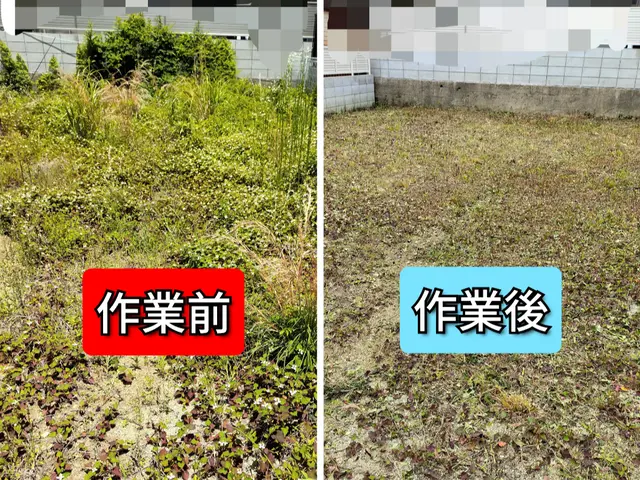 ★ご予約前に写真で簡単お見積もり★立ち合いなしOK♪★お庭スッキリ♪２名作業サービスの画像
