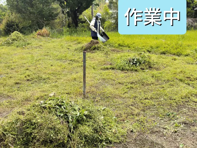 ★ご予約前に写真で簡単お見積もり★立ち合いなしOK♪★お庭スッキリ♪２名作業サービスの画像