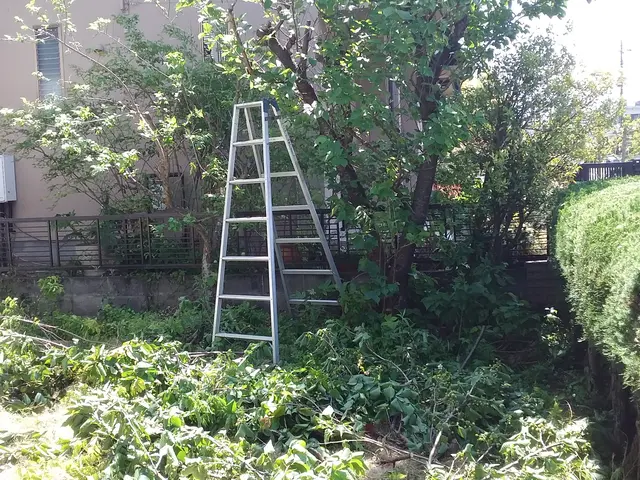 草刈り、枝切りサービスの画像