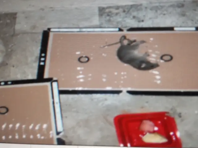 【年中無休】完全自社施工！大手業務経験あり！営業時間外も対応可能です！サービスの画像