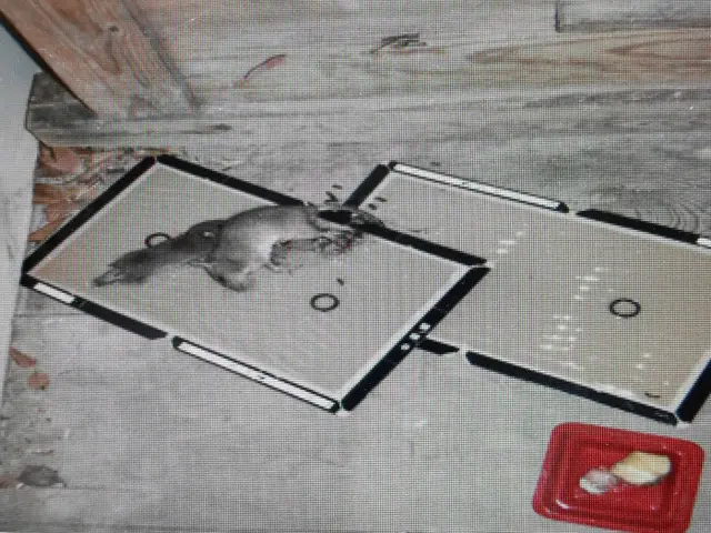 【年中無休】完全自社施工！大手業務経験あり！営業時間外も対応可能です！サービスの画像