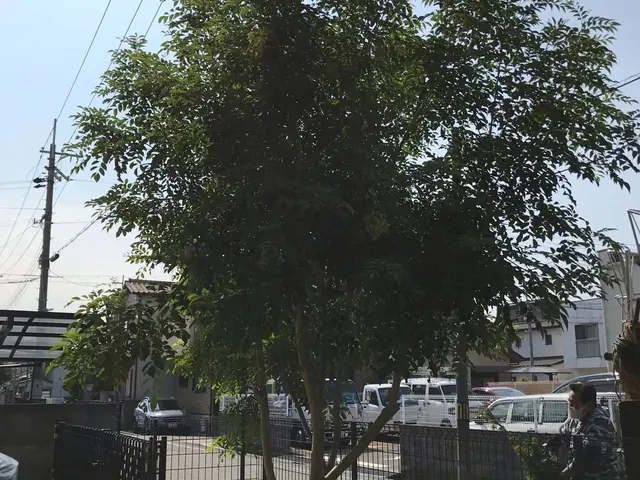 【夫婦で作業】職人の確かな技術と女性の細やかな心遣い★気になる事はお問い合わせでサービスの画像