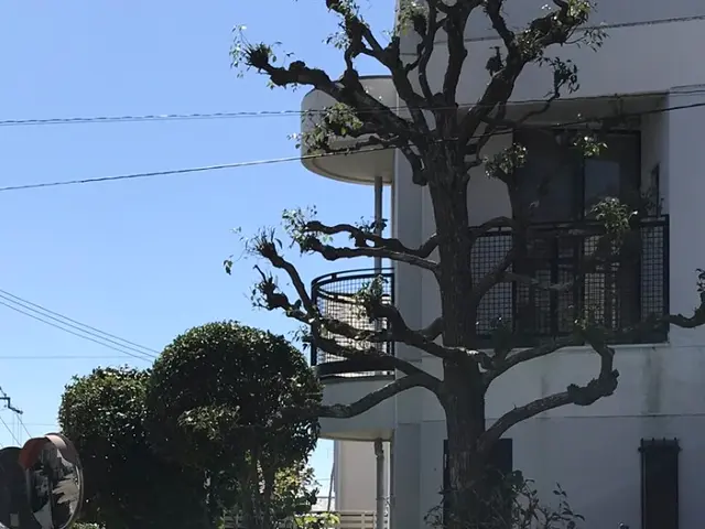 【夫婦で作業】職人の確かな技術と女性の細やかな心遣い★気になる事はお問い合わせでサービスの画像