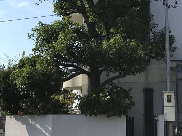 【夫婦で作業】職人の確かな技術と女性の細やかな心遣い★気になる事はお問い合わせでサービスの画像