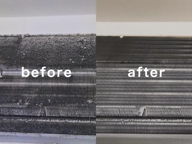 暖房前におすすめ！夏の汚れを徹底洗浄するプロのエアコンクリーニングサービスの画像