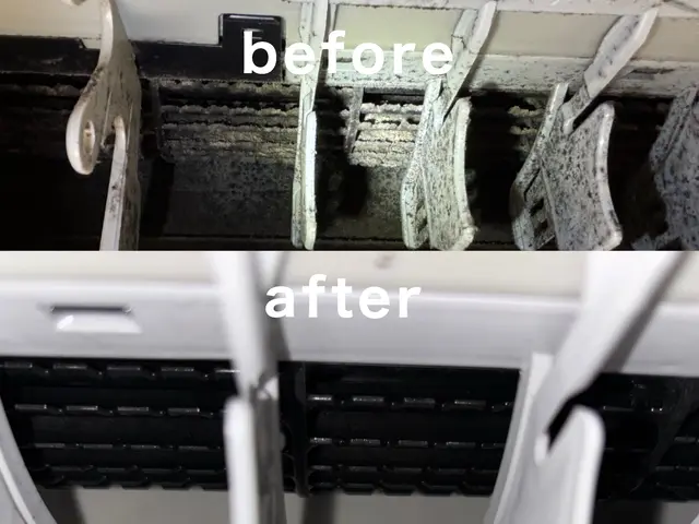 暖房前におすすめ！夏の汚れを徹底洗浄するプロのエアコンクリーニングサービスの画像