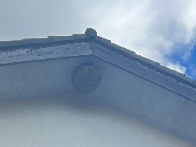 ご相談やご質問だけでも全然良いですよ！　ご相談やご質問だけなら０円ですからね！サービスの画像