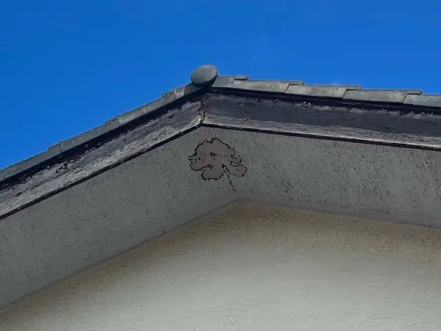 ご相談やご質問だけでも全然良いですよ！　ご相談やご質問だけなら０円ですからね！サービスの画像