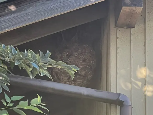 ご相談やご質問だけでも全然良いですよ！　ご相談やご質問だけなら０円ですからね！サービスの画像