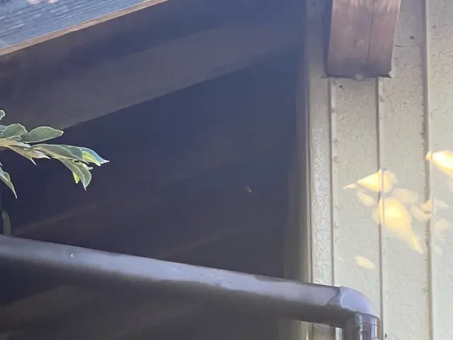 ご相談やご質問だけでも全然良いですよ！　ご相談やご質問だけなら０円ですからね！サービスの画像