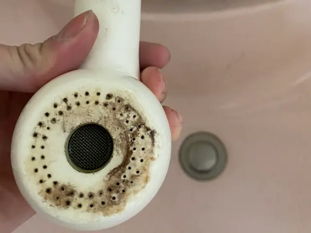 【水垢、カビ汚れ】気になる方は、お任せください！◎非喫煙者◎サービスの画像