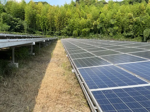 全国で数多くの草刈りを行っております。サービスの画像