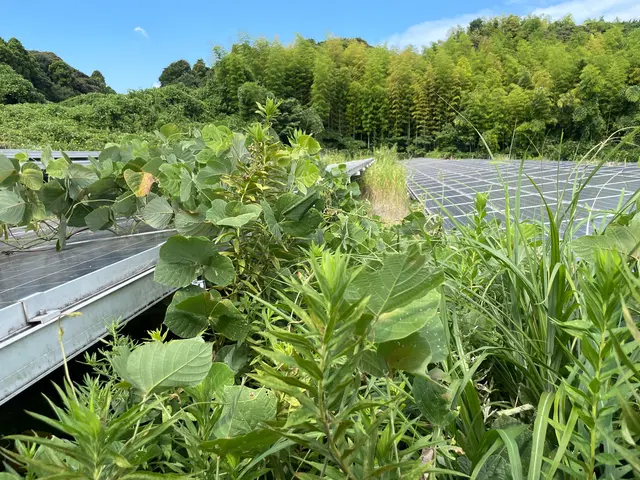 全国で数多くの草刈りを行っております。サービスの画像