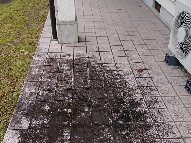 【業界歴10年以上の経験実績】損害保険加入済みで安心◆徹底的に汚れを落とします！サービスの画像