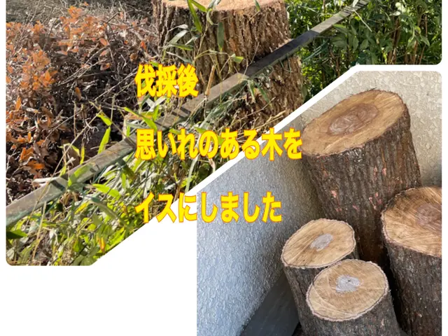 ★カードOK★高木もご相談下さい　★クレーン車を使用せずにロープで安全対応サービスの画像