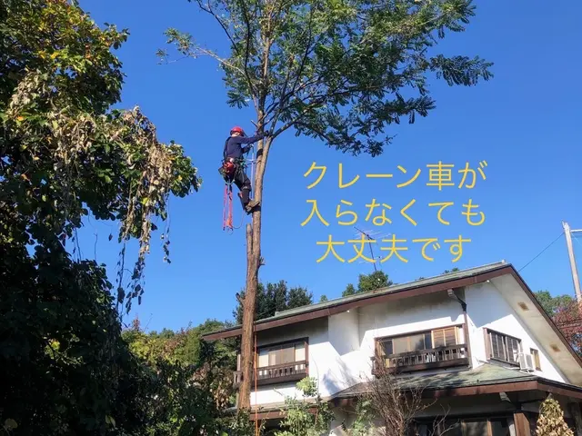 ★カードOK★高木もご相談下さい　★クレーン車を使用せずにロープで安全対応サービスの画像