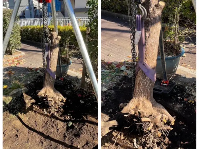 ★カードOK★高木もご相談下さい　★クレーン車を使用せずにロープで安全対応サービスの画像