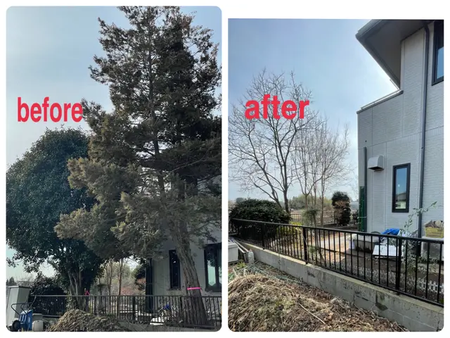 ★カードOK★高木もご相談下さい　★クレーン車を使用せずにロープで安全対応サービスの画像