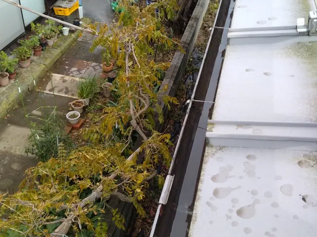 自社職人が施工！雨樋修理、掃除や詰まりならお任せ下さい！サービスの画像