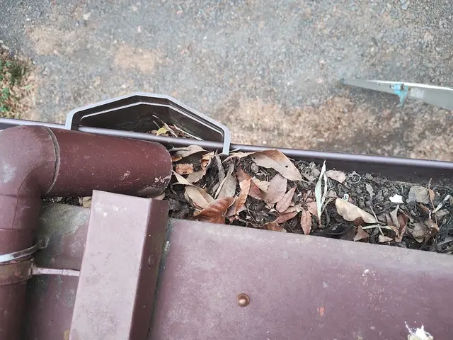 自社職人が施工！雨樋修理、掃除や詰まりならお任せ下さい！サービスの画像