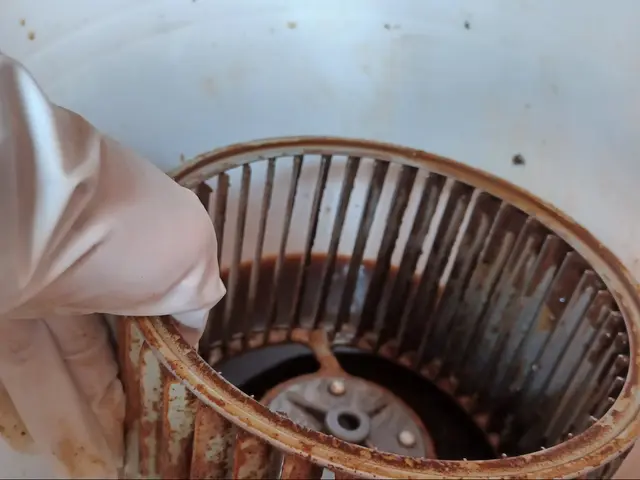 ☆お客様のお困り事解決☆油汚れをスッキリ洗浄！【ファンを外して内部まで洗浄】サービスの画像