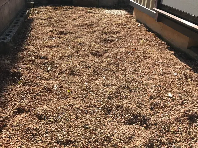 女性スタッフの同行可能◎営業時間外や対応地域外もお気軽にご相談ください！サービスの画像